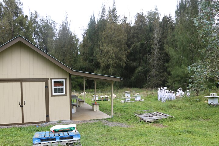 Private 2-Hour Beekeeping Classroom Tour in Honokaa - Photo 1 of 7